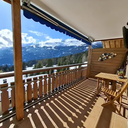Montana Etoilee *